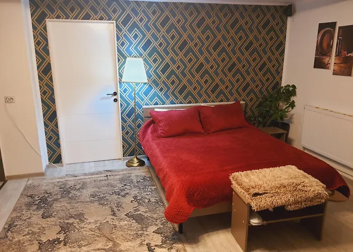 Liliana 布加勒斯特